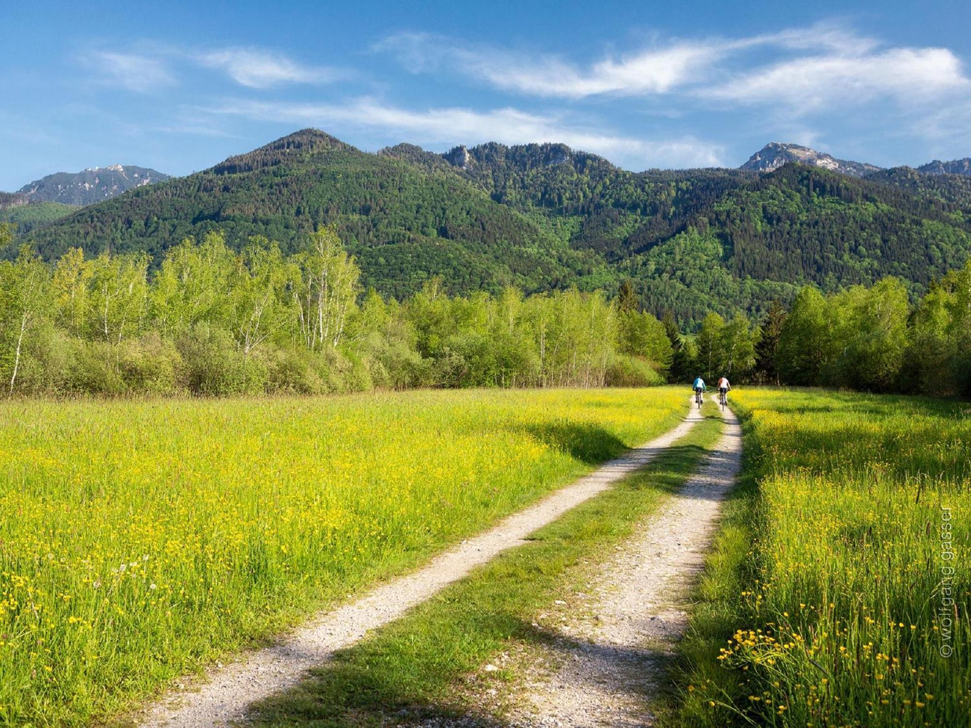 Gaestehaus Weissenbacher-Ferienwohnungen Marquartstein Esterno foto